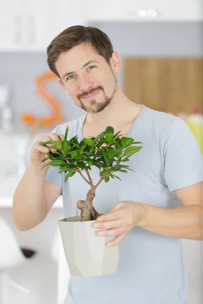 Man Die Zorgt Voor Bonsai Plant — Stockfoto
