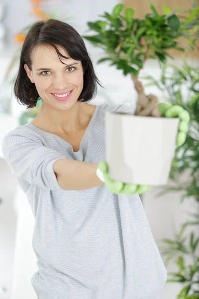 Vrouw Met Een Plantenpot Met Handschoenen — Stockfoto