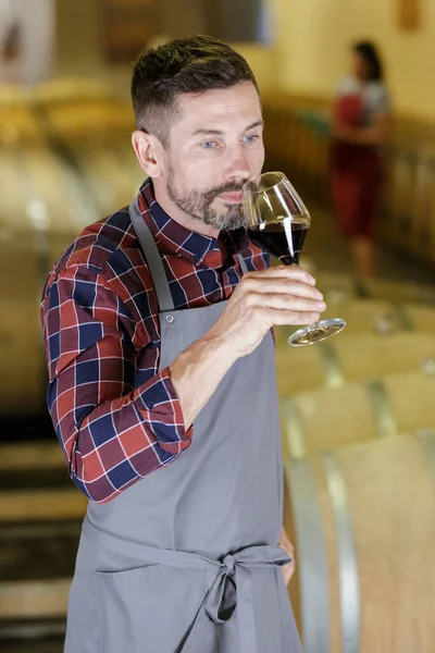 Man Med Vinprovning Källare Med Skog — Stockfoto