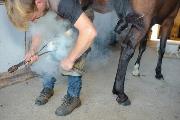 Man Preparing Install Horseshoe — Stock Photo, Image