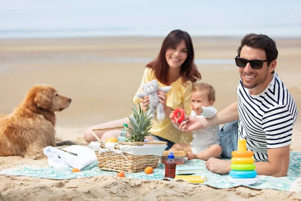 family having a picnic on the beach with their dog