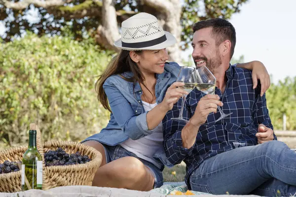 couple drinking wine on a picnic