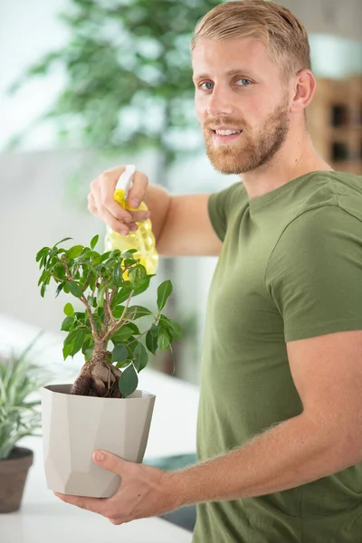 Mladý Pohledný Muž Sprejování Pokojové Rostliny — Stock fotografie