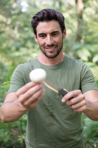 Uomo Raccogliendo Funghi Nella Foresta Estiva — Foto Stock