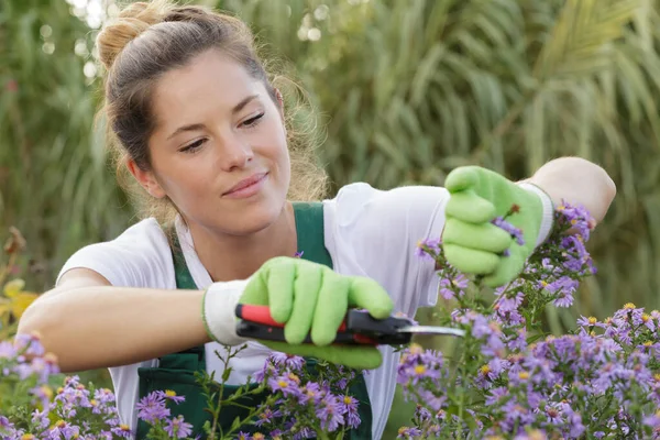 Profesional Mujer Jardinero Poda Flores —  Fotos de Stock