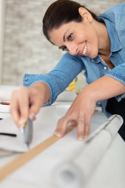 Happy Woman Preparing Wallpaper Work — Stock Photo, Image