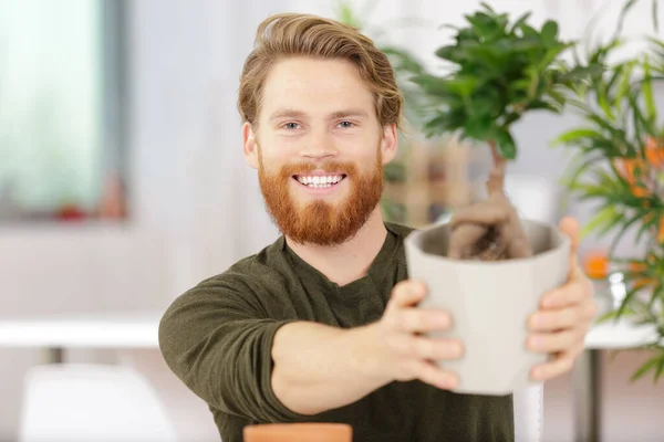 Portrait Happy Professional Man Holding Bonsai — Stock Photo, Image