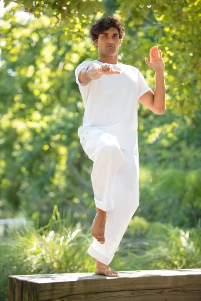 Sport Man Practices Traditional Chinese Martial Arts Tai Chi — Stock Photo, Image