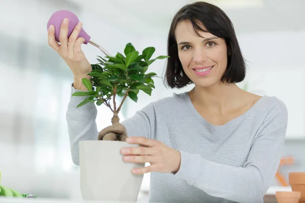 Mutlu Kadın Evde Bitkileri Ilaçlıyor — Stok fotoğraf
