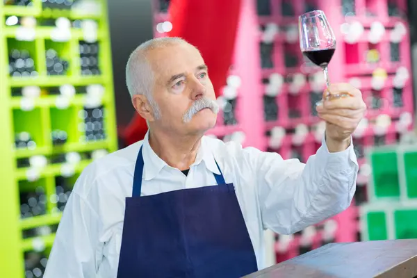 グラスでワインを検査するシニアソムリエ — ストック写真