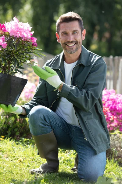 Handsome Man Gardener Landscaping — Stock Photo, Image