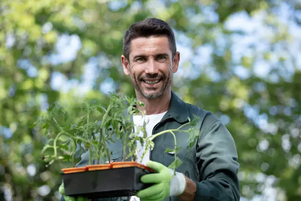 Mann Arbeitet Gartencenter Und Hält Pflanzen Topf — Stockfoto