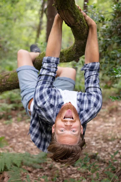 Hugging Trees Support Nature — Stock Photo, Image