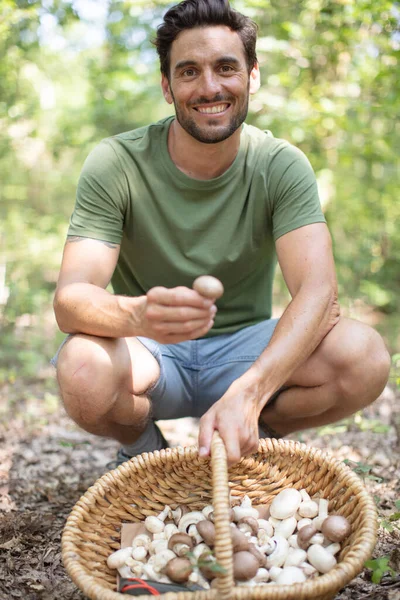 Uomo Sta Raccogliendo Funghi All Aperto — Foto Stock