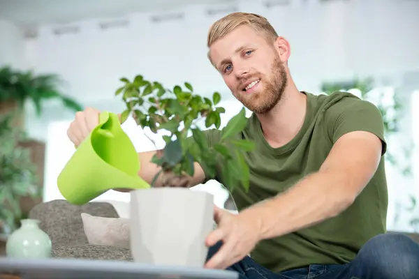 Cheerful Young Man Watering Houseplant — Stock Photo, Image