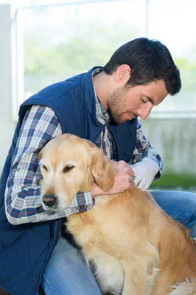 Dogs Home Carer — Stock Photo, Image