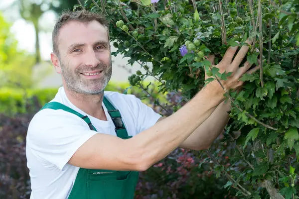 Bir Erkek Bahçıvan Çalışıyor — Stok fotoğraf