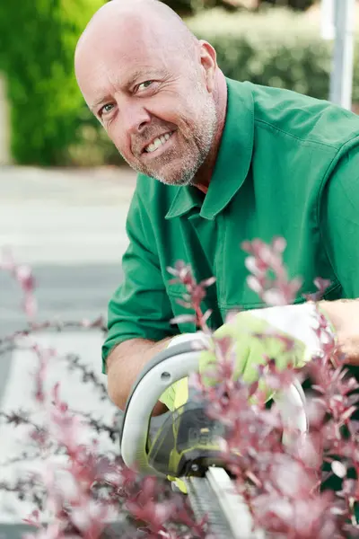 Mature Man Pruning Cutting Hedges Chainsaw — Stock Photo, Image