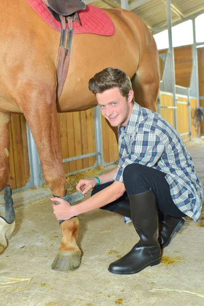 Stable Boy Taking Care His Horse — Stock Photo, Image