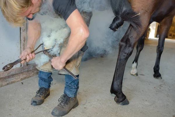 Man Farrier Applying Horsehoe — Stock Photo, Image
