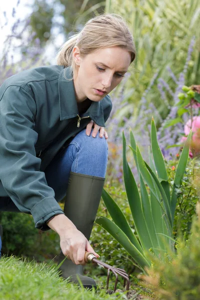 Professional Female Gardener Weeding Using Hand Rake — Stock Photo, Image