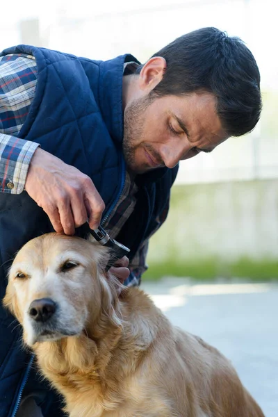 a male vet and a dog outdoors