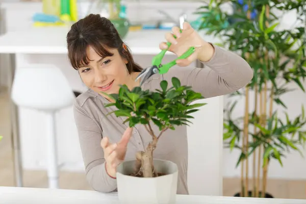 Happy Female Nursery Worker Trimming Plants — Stock Photo, Image