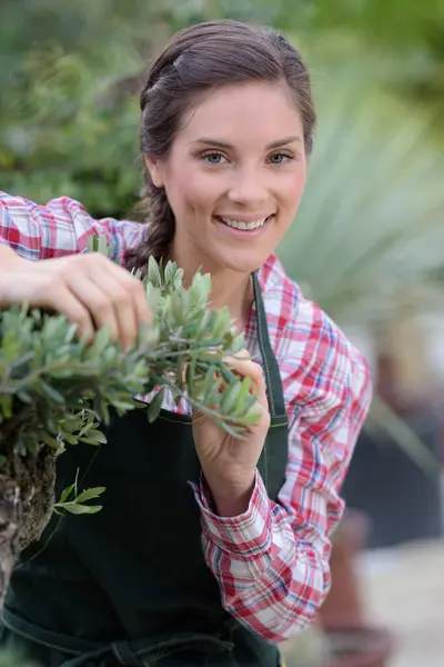 Młoda Uśmiechnięta Kobieta Ogrodnik Stojąca Wśród Drzew Oliwnych — Zdjęcie stockowe