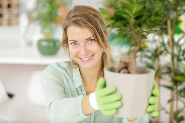 stock image a woman is holding a bonsai tree