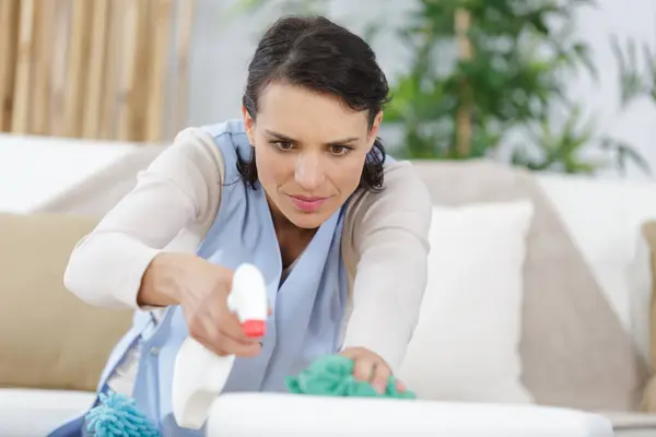 Stock image woman doing cleaning at home