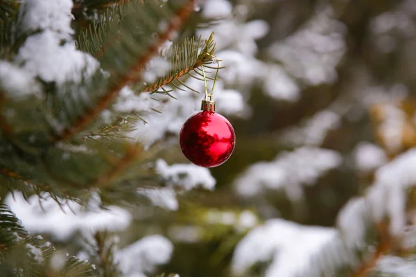Outdoor Weihnachtsbaum Mit Schnee Bedeckt Und Mit Weihnachtskugeln Geschmückt Ferien — Stockfoto