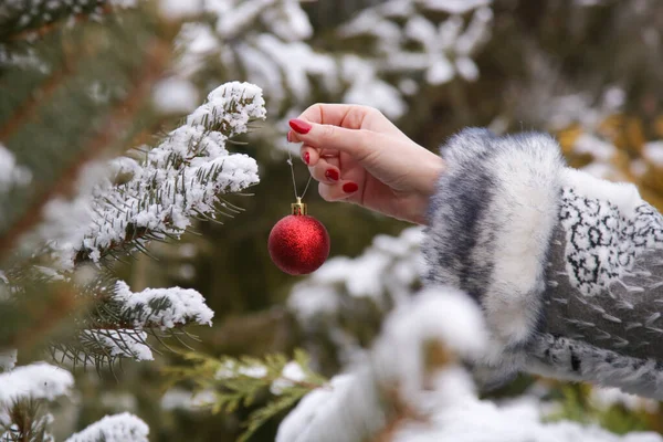 赤いクリスマスバブルで屋外のクリスマスツリーを飾る女性の手の閉じる 休日と冬のコンセプト — ストック写真