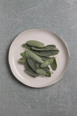 Beyaz porselen tabakta taze toplanmış adaçayı yaprakları.