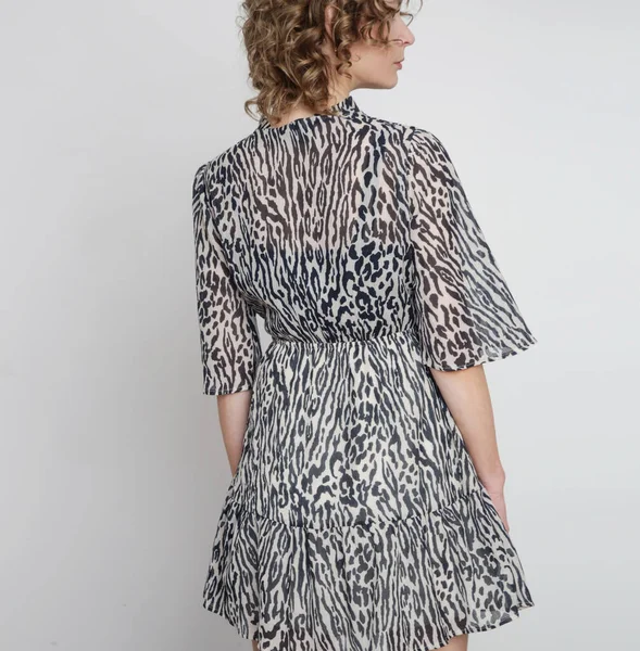 Série Fotos Estúdio Jovem Modelo Feminino Zebra Impressão Mini Vestido — Fotografia de Stock