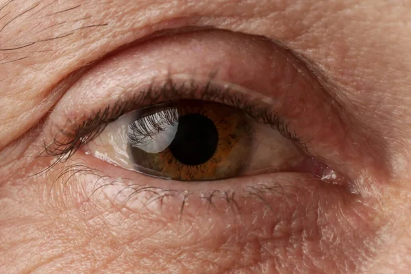 Close up image of aged man\'s eye, looking at camera