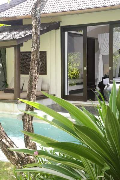 带有游泳池和花园的热带风格别墅 — 图库照片