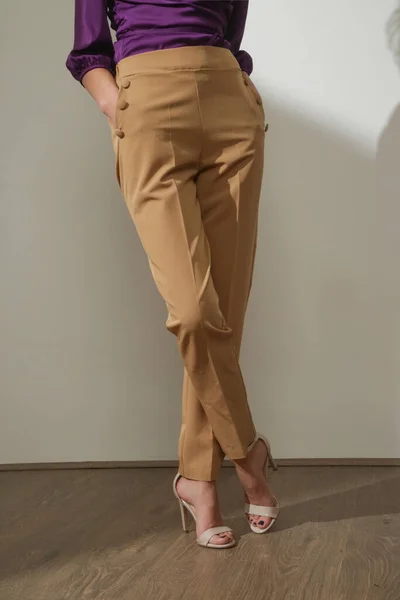 Modelo Feminino Vestindo Bege Inteligente Casual Calças Alta Ascensão Estúdio — Fotografia de Stock