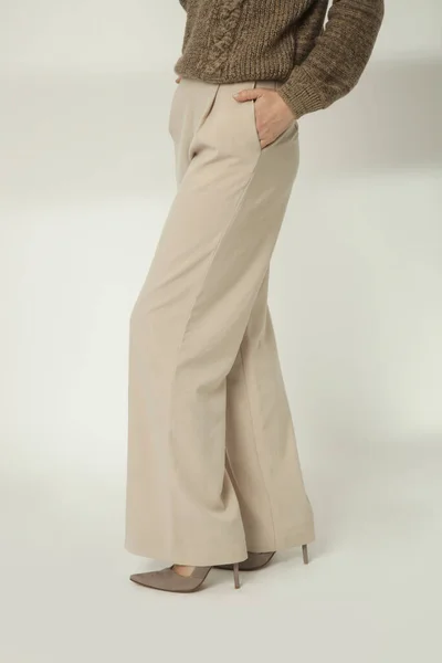 Modelo Feminino Vestindo Bege Inteligente Casual Alta Ascensão Largas Calças — Fotografia de Stock