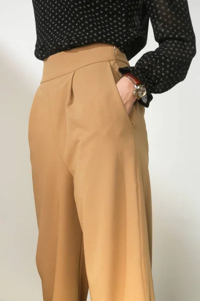 ベージュスマートカジュアル高ライズワイドパンツを身に着けている女性モデル スタジオショット — ストック写真