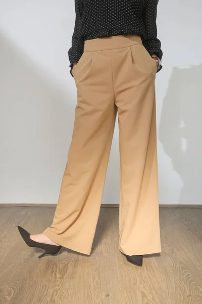 Modelka Béžových Elegantních Neformálních Kalhotách Širokého Vzrůstu Studio Shot — Stock fotografie