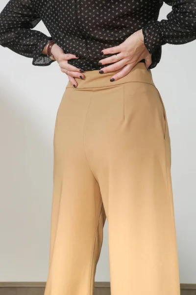 Modelo Femenino Con Pantalones Anchos Gran Altura Casual Beige Smart — Foto de Stock