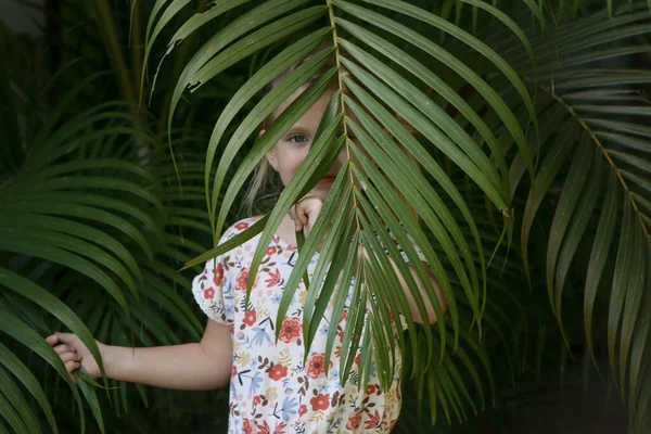 Открытый Портрет Очаровательной Летней Девочки Между Пальмовыми Листьями Концепция Тропического — стоковое фото