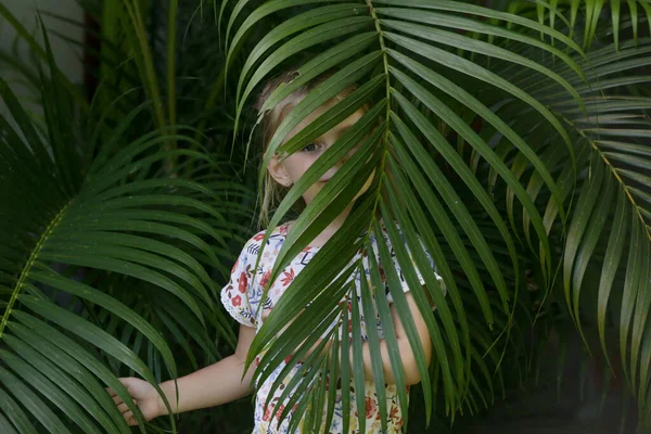 Ehrliches Outdoor Porträt Eines Entzückenden Jährigen Mädchens Zwischen Palmenblättern Tropisches — Stockfoto
