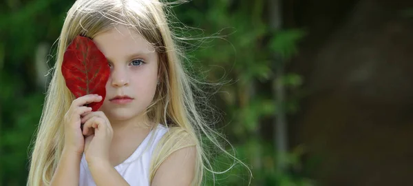 Ritratto All Aperto Adorabile Bambina Anni Con Foglia Rossa Autunnale — Foto Stock