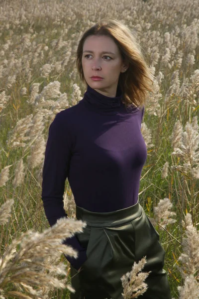 女模特儿穿着紫色高领毛衣和绿色裤子在草地上摆姿势的照片系列 户外时尚肖像画 自然光 — 图库照片