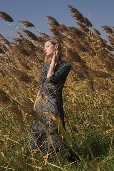 Serie Photos Female Model Black White Pattern Dress Posing Meadow — Stock Photo, Image