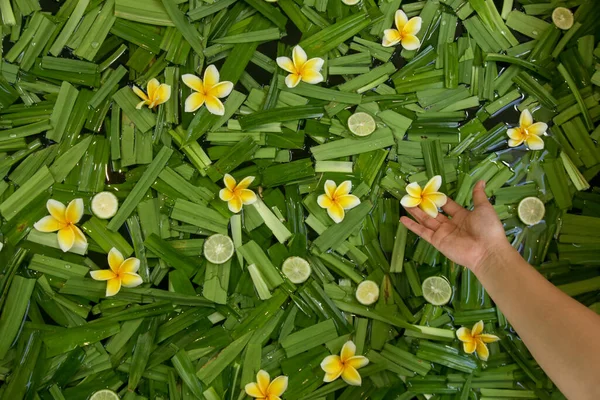 天然ハーブ風呂を準備している女性 スパトリート ライムスライス レモングラスの葉と花でハーブバスを再生 — ストック写真