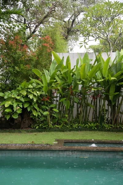 Deštivý Den Tropickém Ráji Bazén Obklopený Tropickou Zelení — Stock fotografie