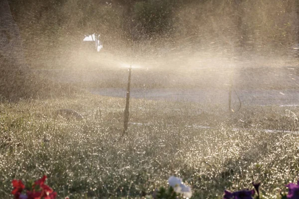 Aspersor Relva Automática Regar Grama Verde Sistema Irrigação Por Jardim — Fotografia de Stock