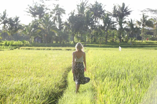 热带岛屿稻田里年轻女子的户外时尚肖像 自然阳光 与自然联系的概念 — 图库照片